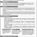 Ignite National Technology Fund Islamabad Jobs 2025 - Chief Executive Officer (CEO) Jobs