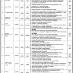 Punjab Daanish Schools Boys And Girls Jobs 2025