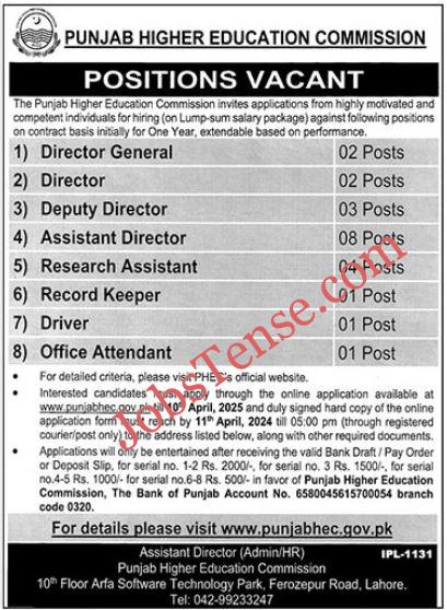 Punjab Higher Education Commission Jobs 2025 