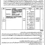 University Of The Punjab PU Jobs 2025 - PU Computer Operator and Data Entry Jobs 2025