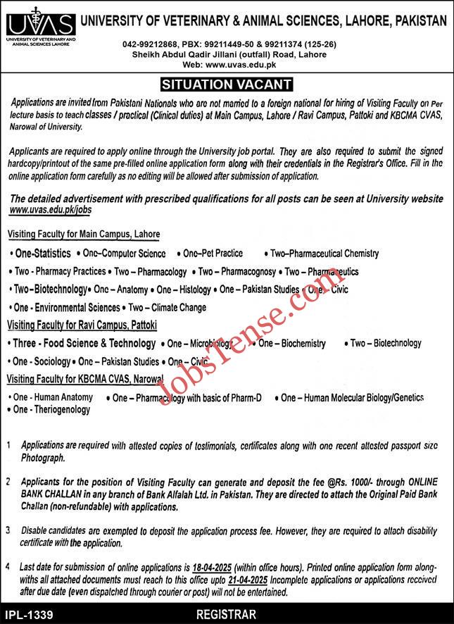 University of Veterinary and Animal Sciences Lahore UVAS Jobs 2025