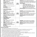Overseas Pakistanis Foundation Jobs 2025 - OPF Software Developer & Assistant Director and Computer Technician Jobs 2025