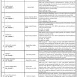 PPHI Sindh Redefining Primary Health Care Jobs 2025 - Medical & Management Jobs 2025