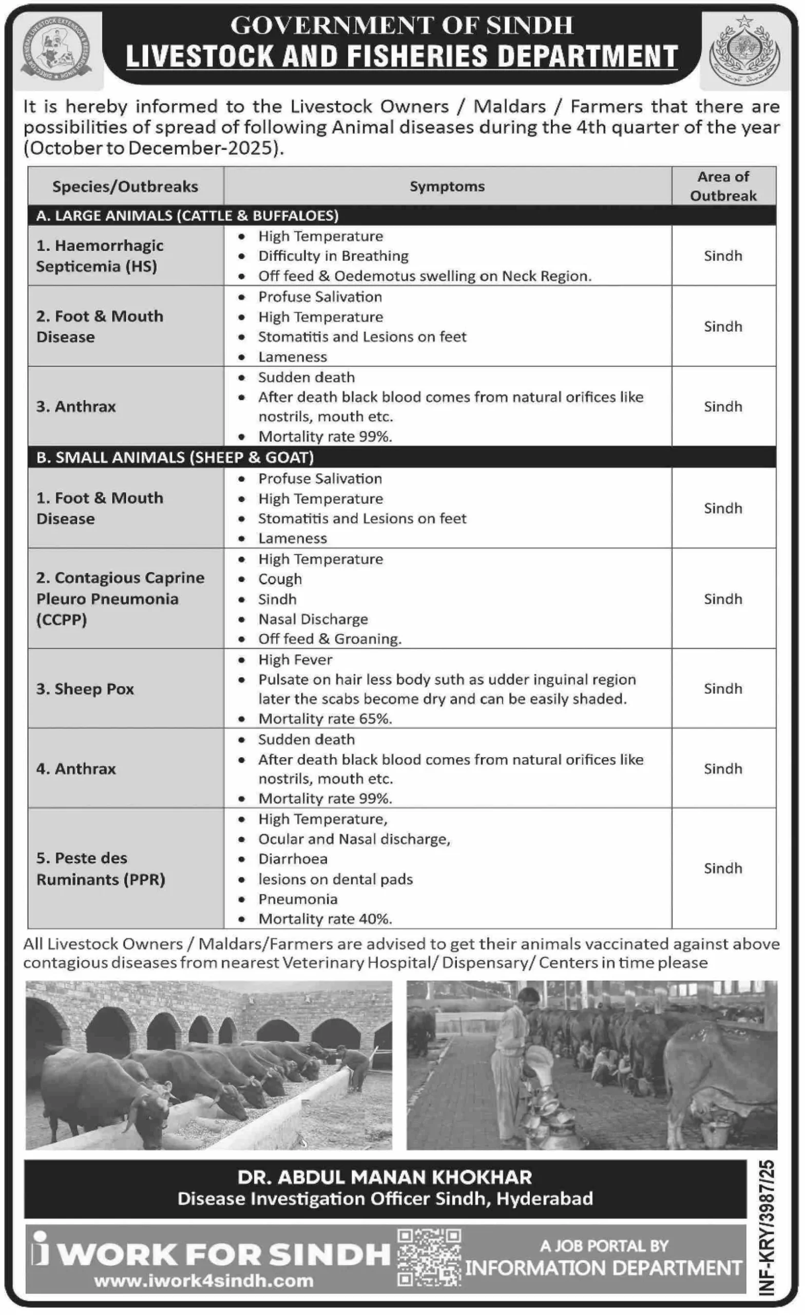 Livestock And Fisheries Department Sindh Jobs 2025 - Apply Haemorrhagic Septicemia (HS) & Cattle & Buffaloes Alert and many Jobs