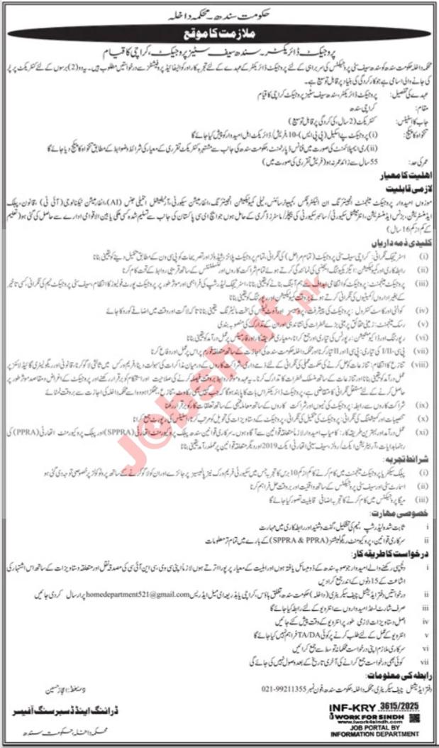 Sindh Safe City Authority Jobs 2025 - Project Director jobs