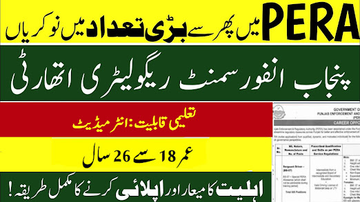 Punjab Enforcement & Regulatory Authority Jobs In 2026 - Apply Now For ...
