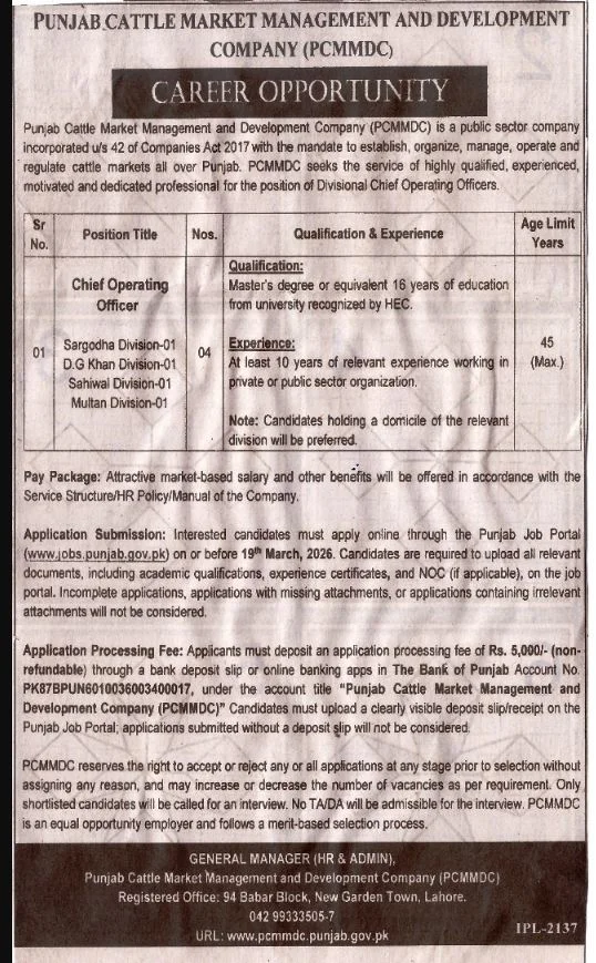 Punjab Cattle Market Management and Development Company Latest Jobs 2026 - Apply Online for Chief Operating Officer Vacancies