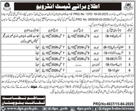 Directorate of Culture Balochistan New Jobs 2026 - Apply Online for Multiple Vacancies in Quetta