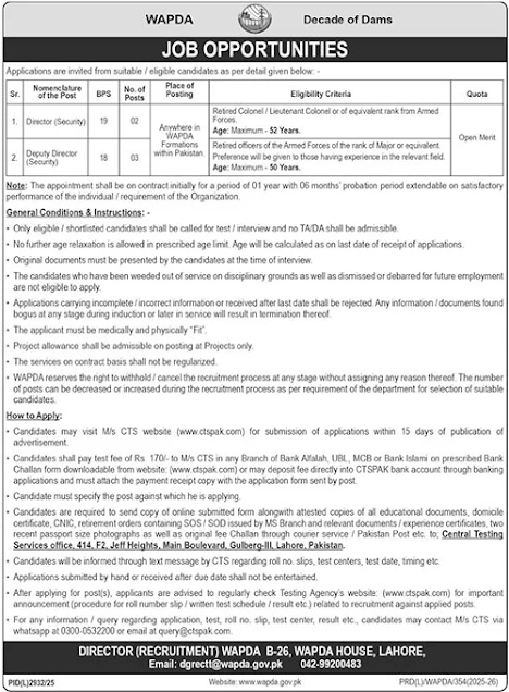 Water And Power Development Authority WAPDA New Jobs 2026 - Apply Online for Director and Deputy Director (Security) Vacancies in Lahore